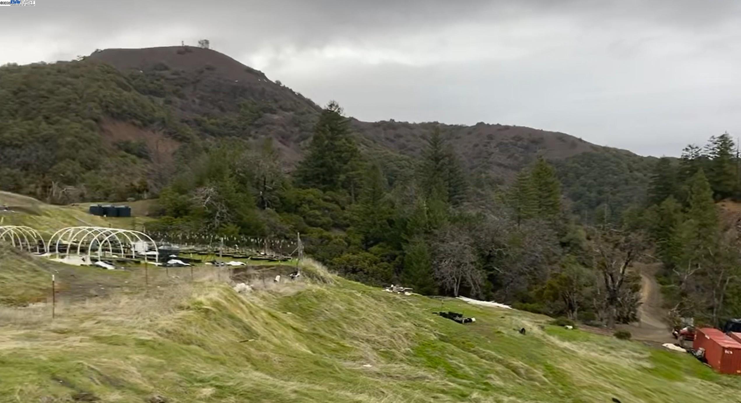 53700 Iron Creek Road Laytonville, CA 95454 - Photo 1 of 15 a view of a dry yard