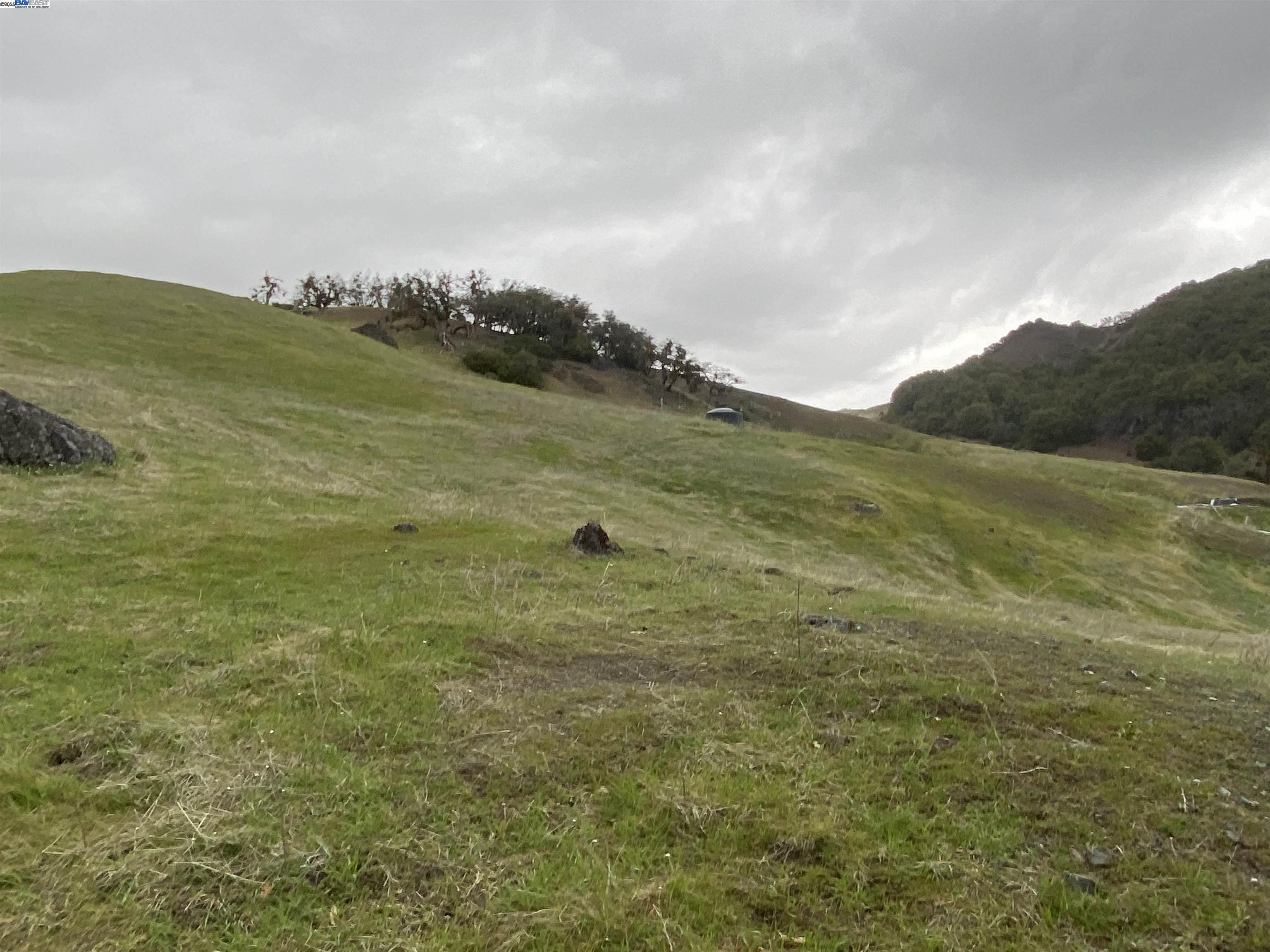 53700 Iron Creek Road Laytonville, CA 95454 - Photo 11 of 15 a view of an ocean