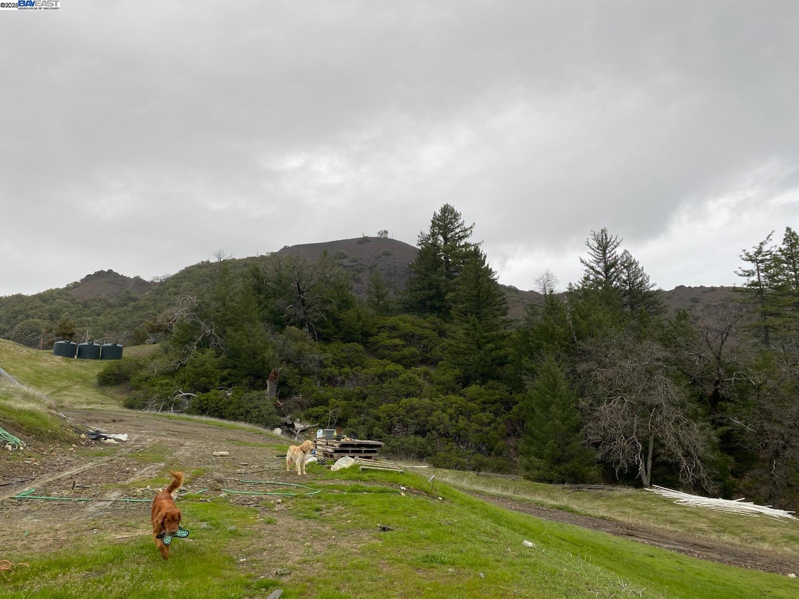 53700 Iron Creek Road Laytonville, CA 95454 - Photo 15 of 15 a view of a lake view