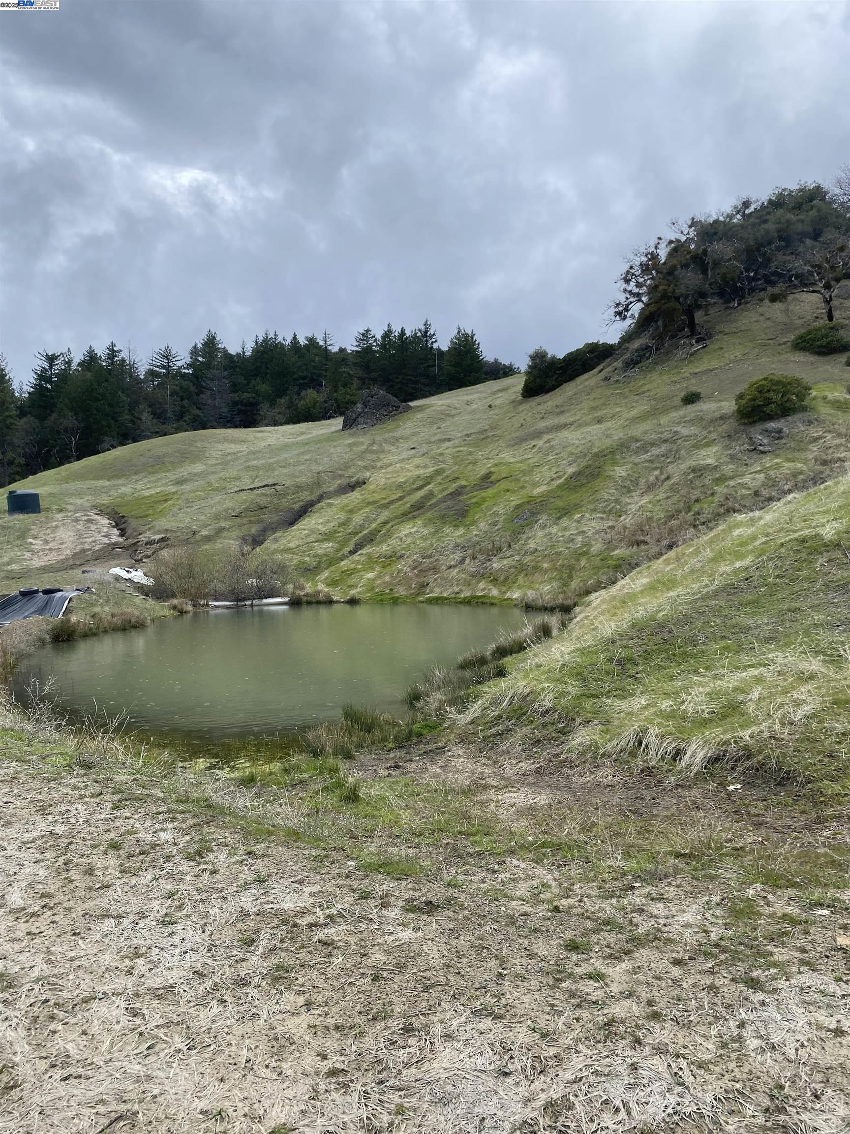 53700 Iron Creek Road Laytonville, CA 95454 - Photo 3 of 15 a view of a lake with a house in the background