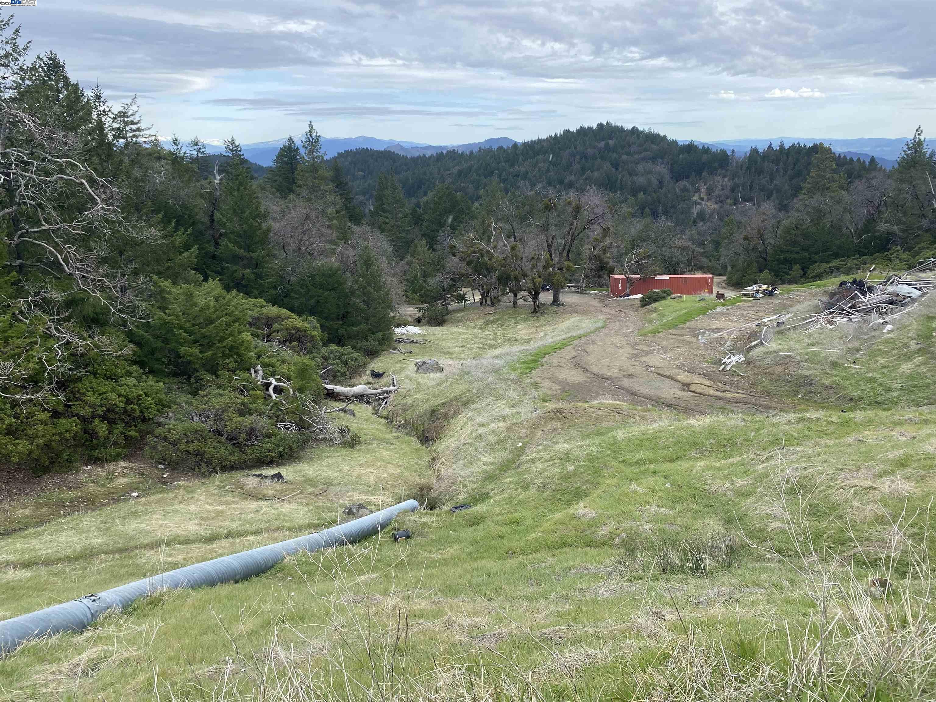 53700 Iron Creek Road Laytonville, CA 95454 - Photo 4 of 15 a view of a yard with an outdoor space