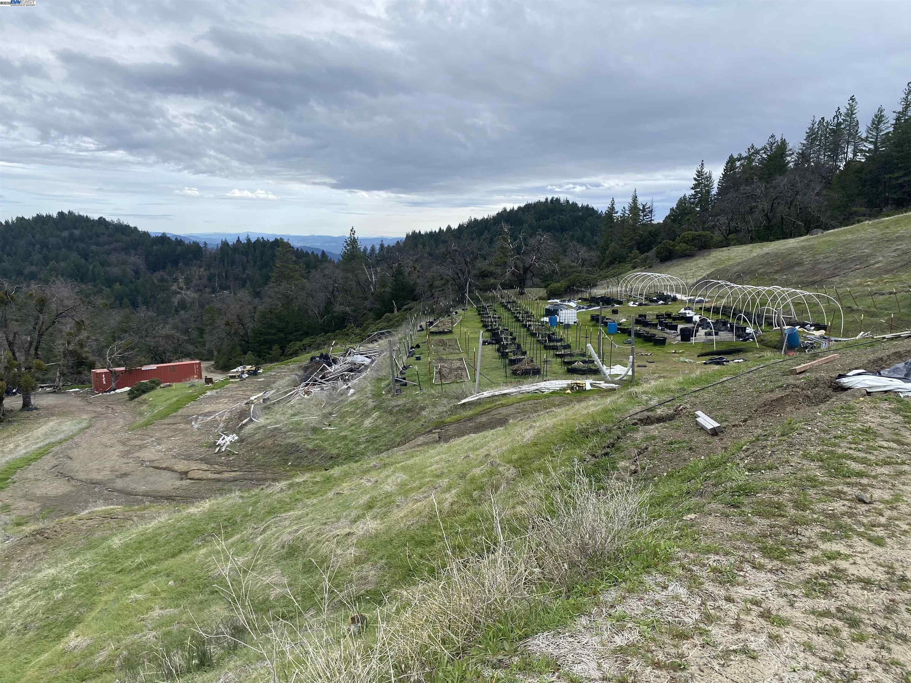 53700 Iron Creek Road Laytonville, CA 95454 - Photo 5 of 15 a view of outdoor space with city view