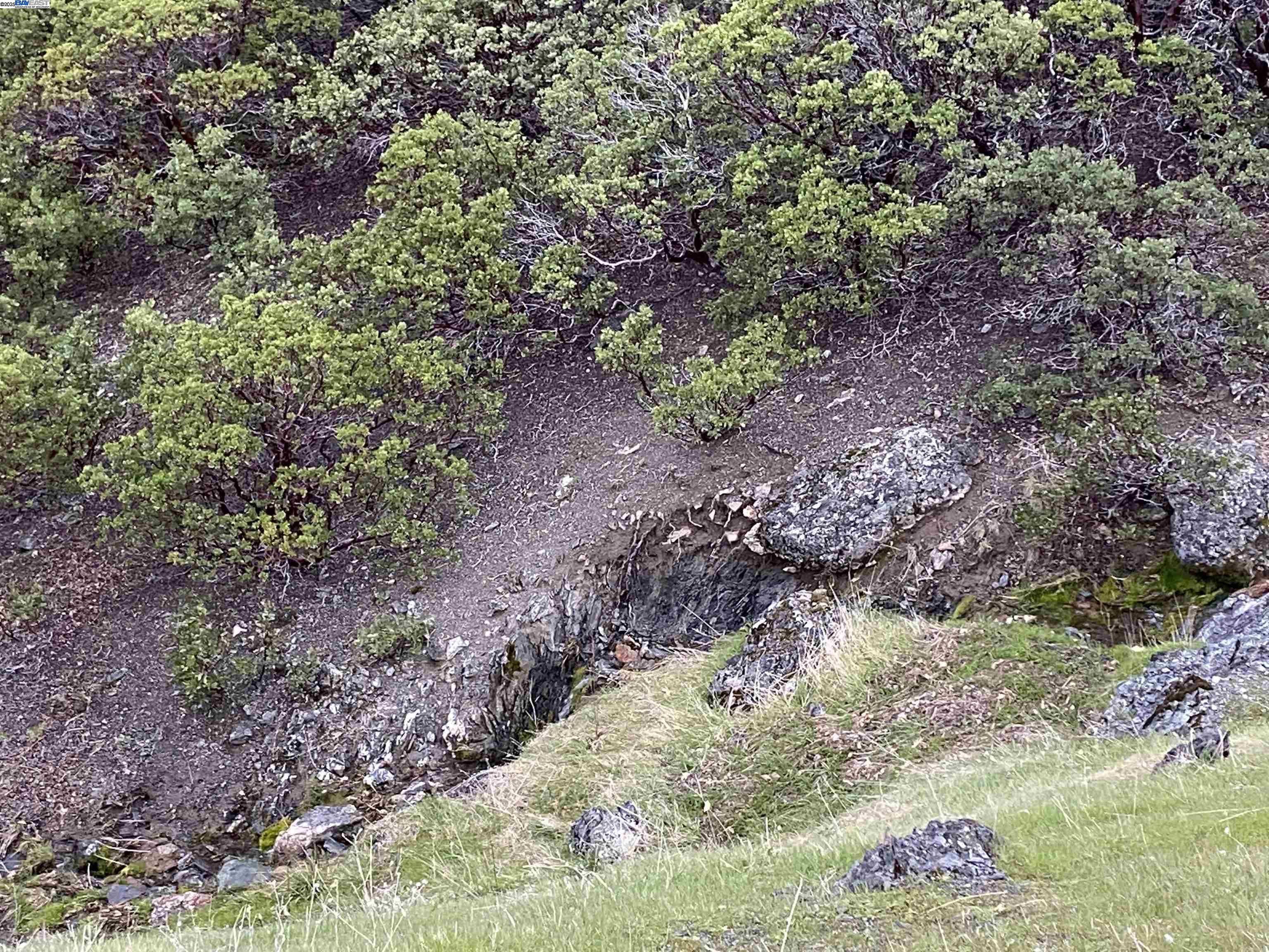 53700 Iron Creek Road Laytonville, CA 95454 - Photo 10 of 15 a view of a pathway with a yard