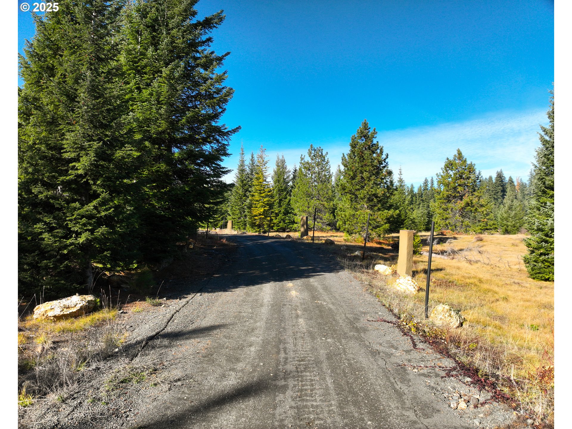 267 Usfs 86 Road Trout Lake, WA 98650 - Photo 13 of 32 a view of yard with trees in background