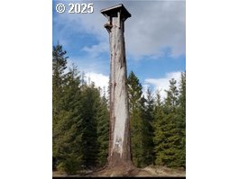 267 Usfs 86 Road Trout Lake, WA 98650 - Photo 22 of 32 a picture of a door of the house