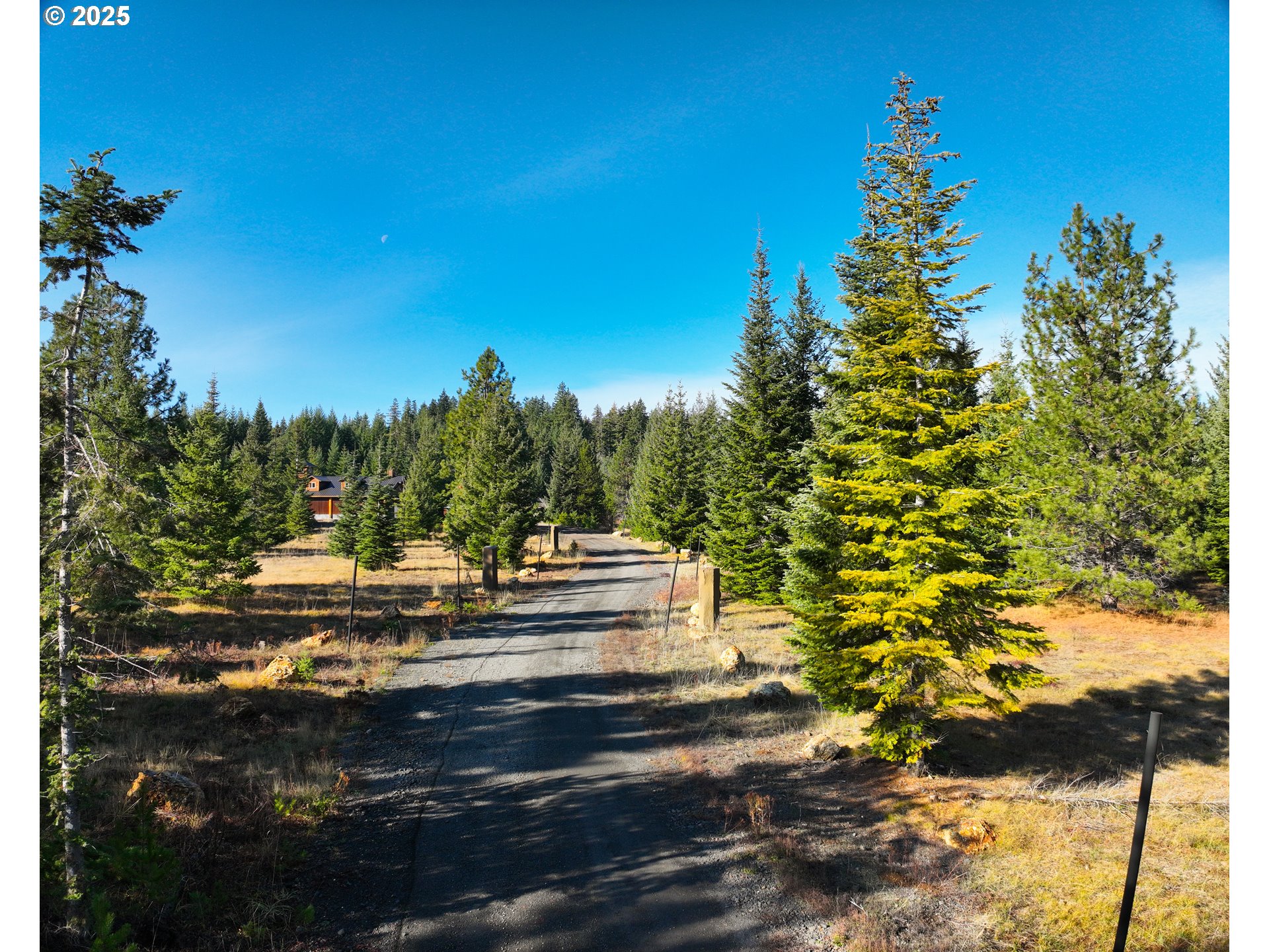 267 Usfs 86 Road Trout Lake, WA 98650 - Photo 29 of 32 a view of a house with a yard