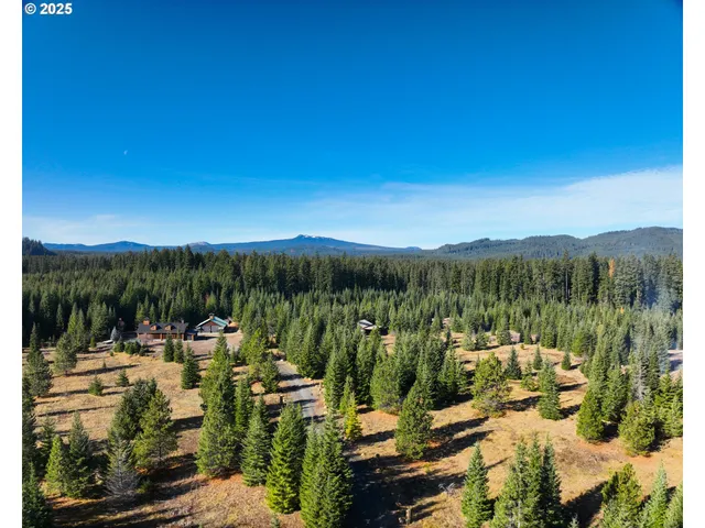 $1,979,000 | 267 Usfs 86 Road, Trout Lake, WA 98650