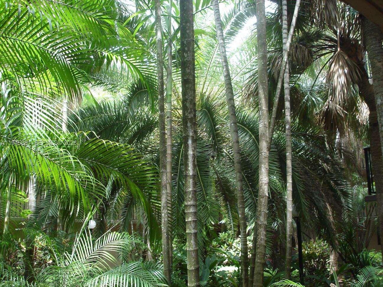 10865 Southwest 112th Avenue, Unit 211 Miami, FL 33176 - Photo 14 of 16 a view of a plant in a garden