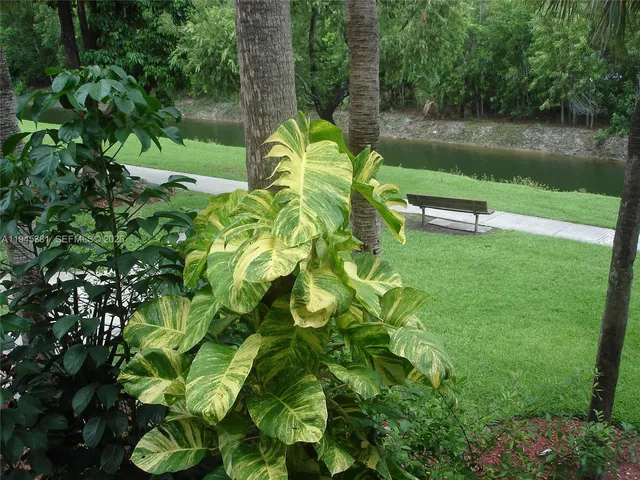 $1,900 | 10865 Southwest 112th Avenue, Unit 211, Miami, FL 33176