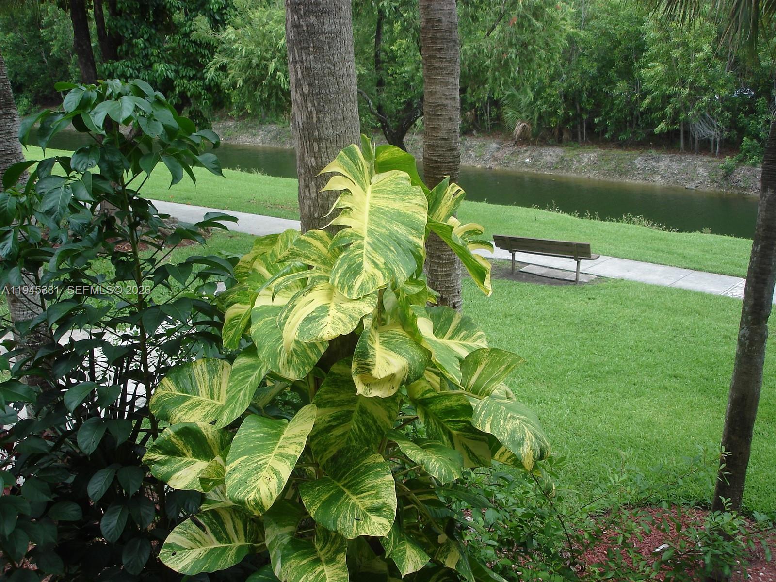 10865 Southwest 112th Avenue, Unit 211 Miami, FL 33176 - Photo 15 of 16 a backyard of a house with lots of green space and lake view