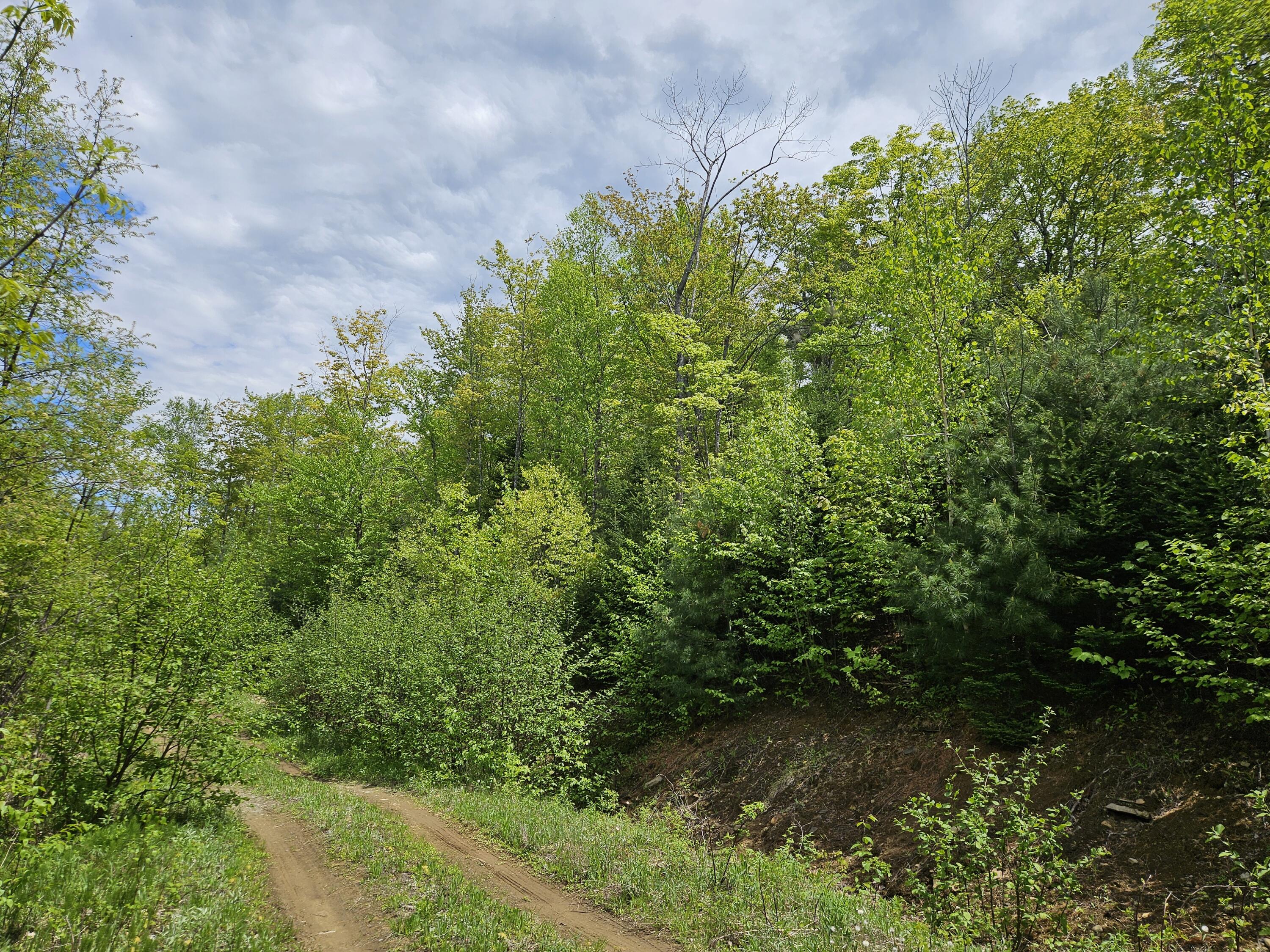 2 Mud Pond Road Madrid Township, ME 04966 - Photo 25 of 42 Madrid Lot