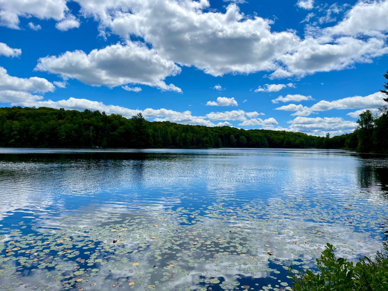 On Beaver Station Road Watersmeet, MI 49969 - Photo 6 of 19 Gallery Image 6