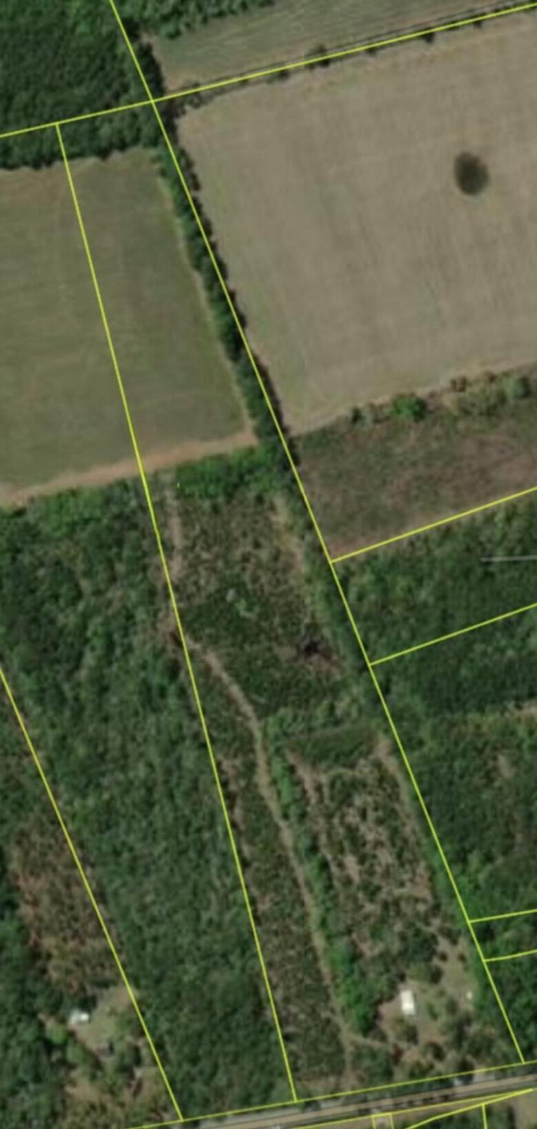 3609 Sniders Highway Walterboro, SC 29488 - Photo 31 of 35 aerial