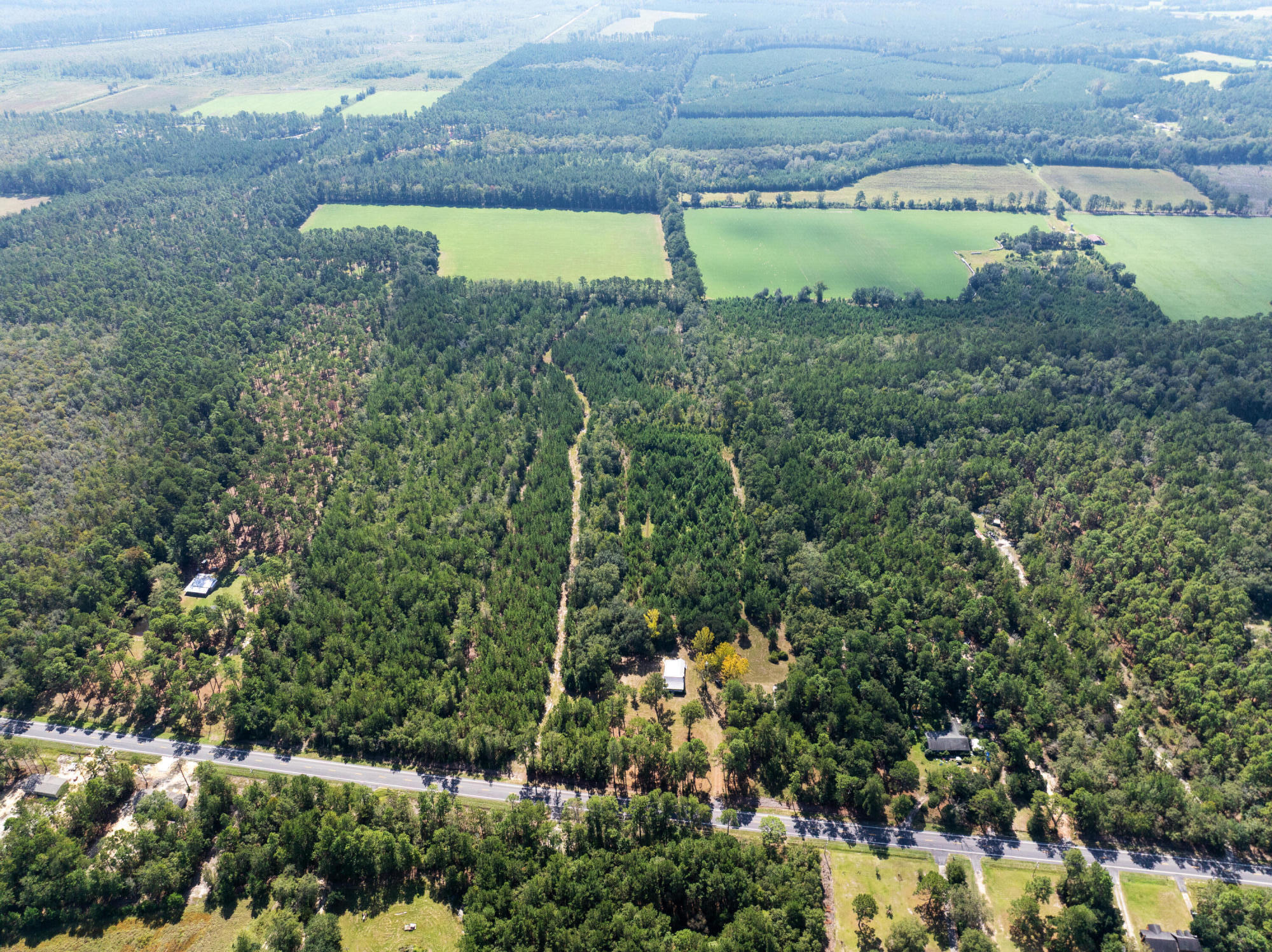 3609 Sniders Highway Walterboro, SC 29488 - Photo 33 of 35 3609SnidersHwy