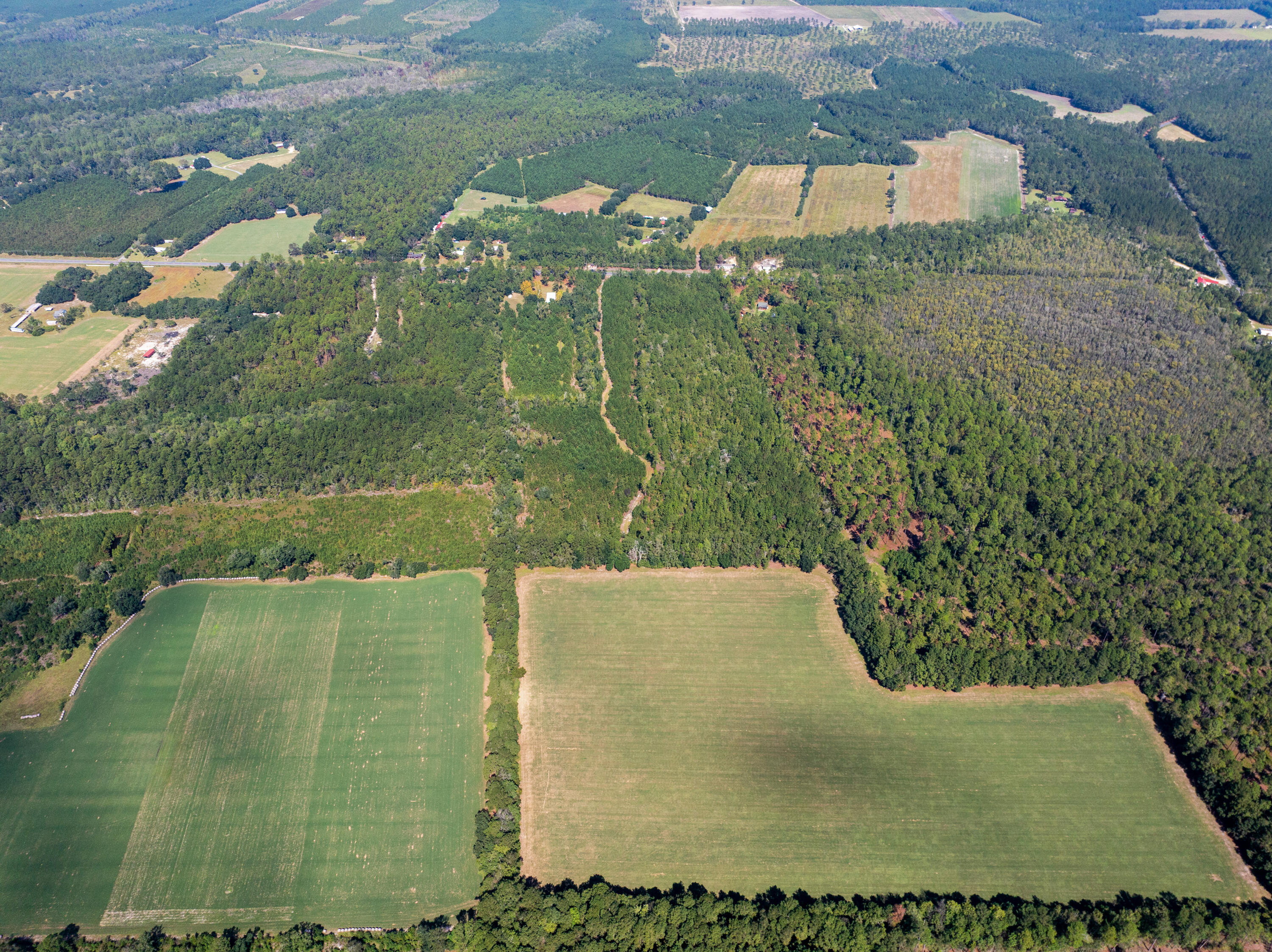 3609 Sniders Highway Walterboro, SC 29488 - Photo 34 of 35 3609SnidersHwy