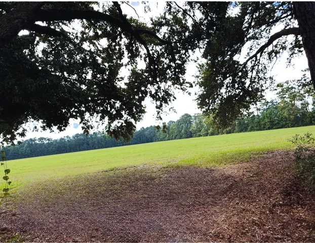 $475,000 | 3609 Sniders Highway, Walterboro, SC 29488