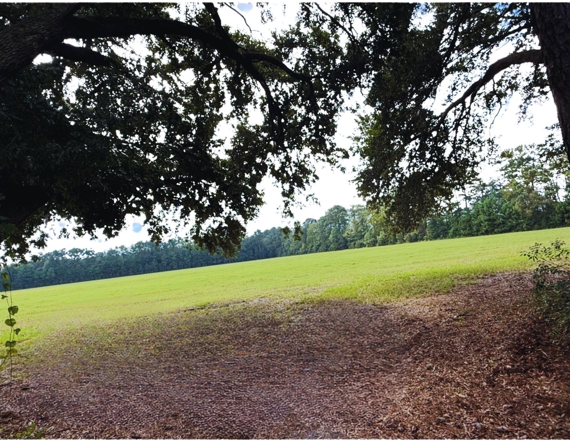 3609 Sniders Highway Walterboro, SC 29488 - Photo 7 of 35 3609SnidersHwy