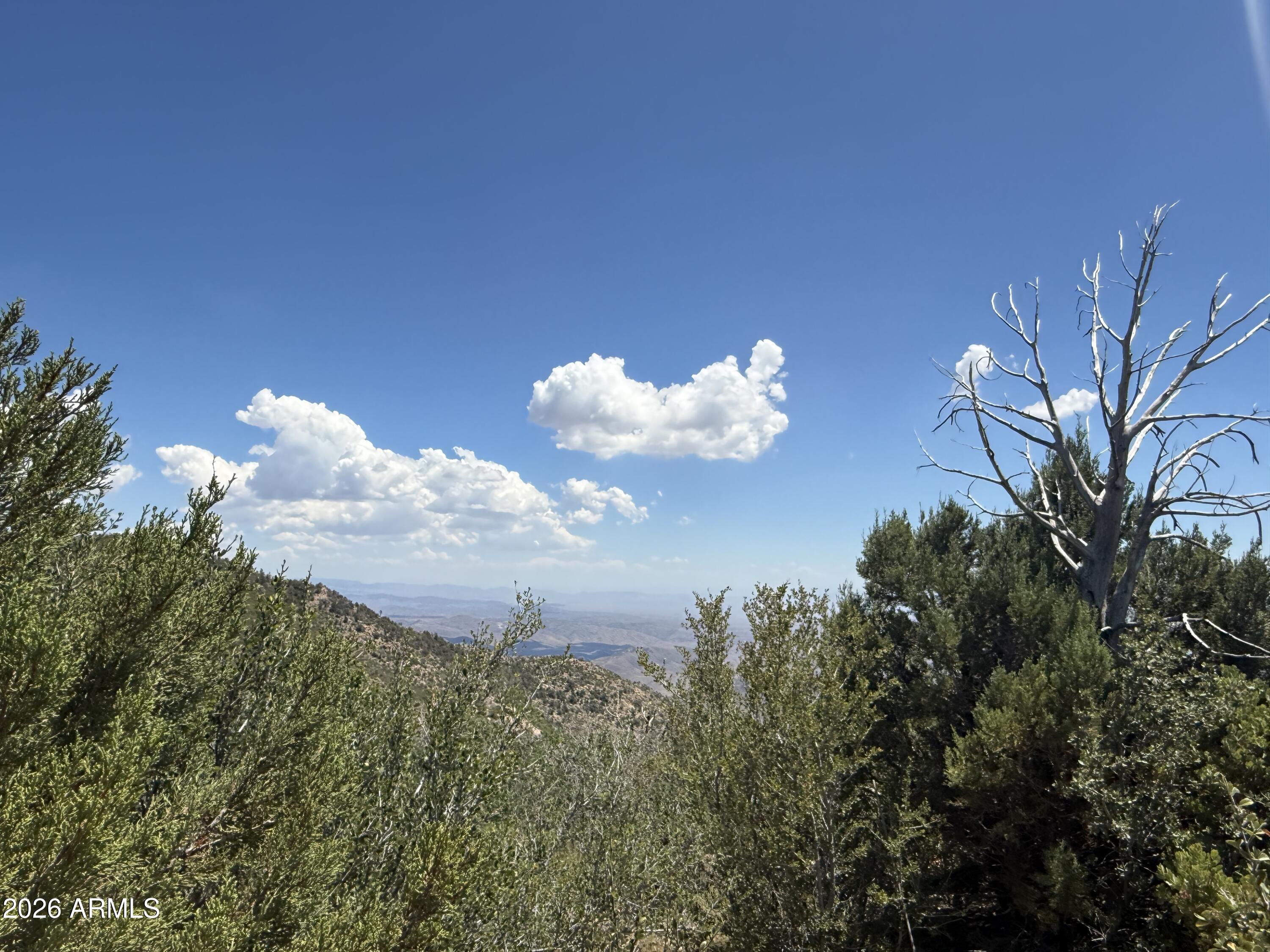 0 South Boulder Ridge Road Crown King, AZ 86343 - Photo 2 of 7