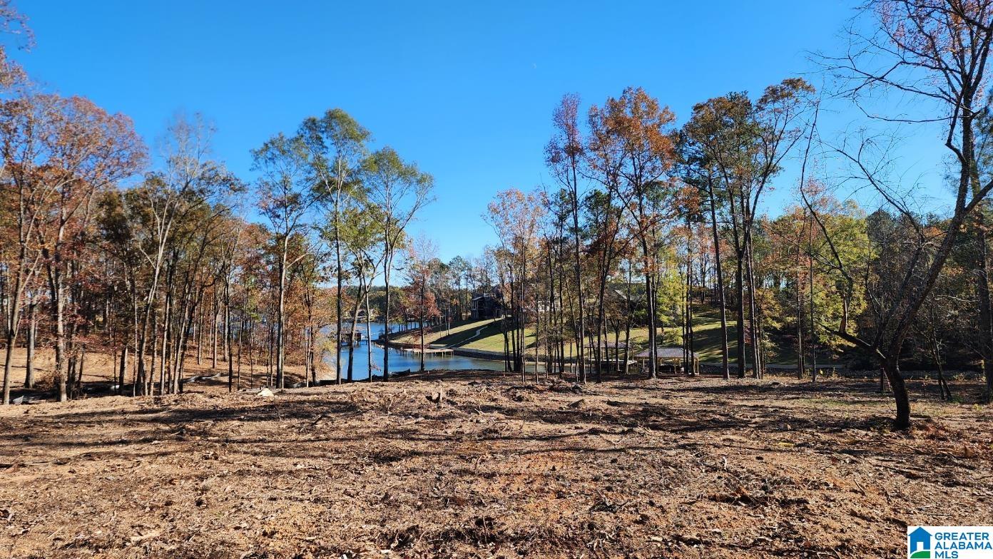 0 Bells Lane, Unit 22 Vincent, AL 35178 - Photo 2 of 12