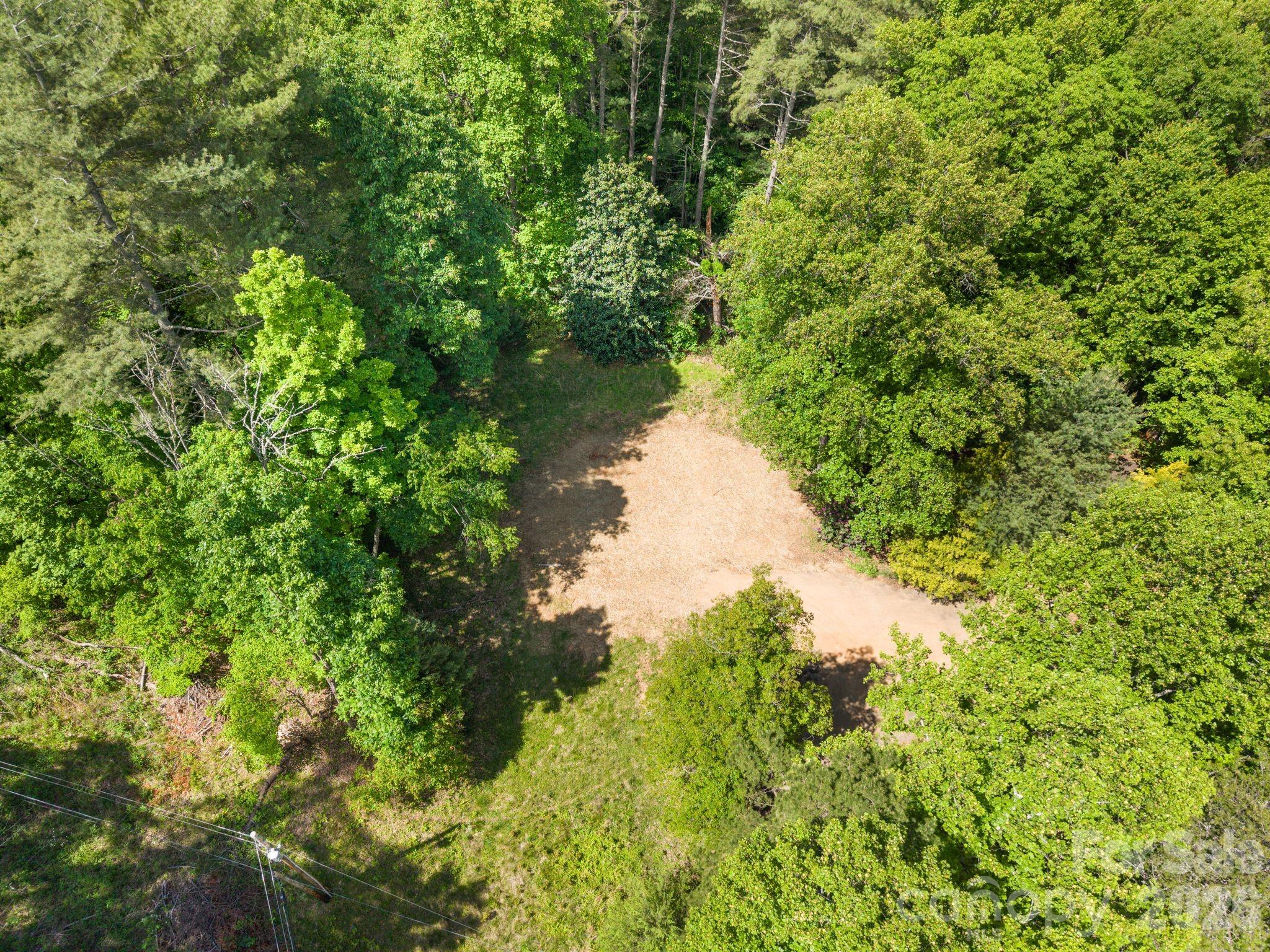 31 White Bridge Road Weaverville, NC 28787 - Photo 9 of 14