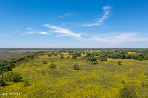 $1,963,500 | 0 Hwy 82 West Abbeville La, Abbeville, LA 70510