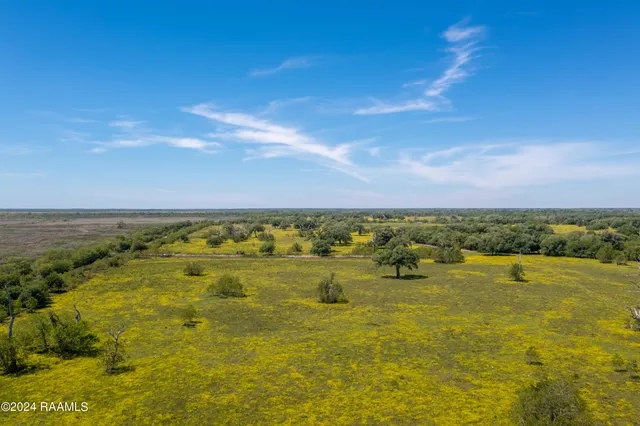 $1,963,500 | 0 Hwy 82 West Abbeville La, Abbeville, LA 70510