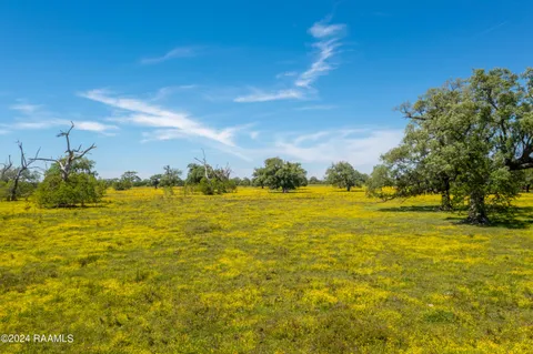 $1,963,500 | 0 Hwy 82 West Abbeville La, Abbeville, LA 70510