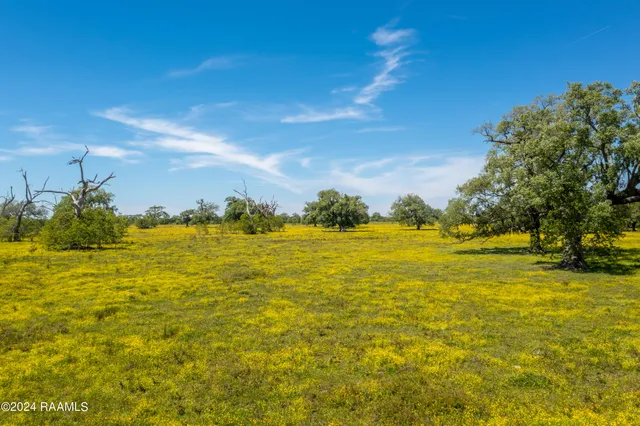 $1,963,500 | 0 Hwy 82 West Abbeville La, Abbeville, LA 70510