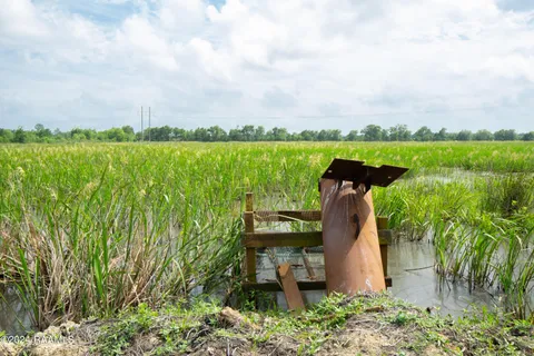 $1,963,500 | 0 Hwy 82 West Abbeville La, Abbeville, LA 70510