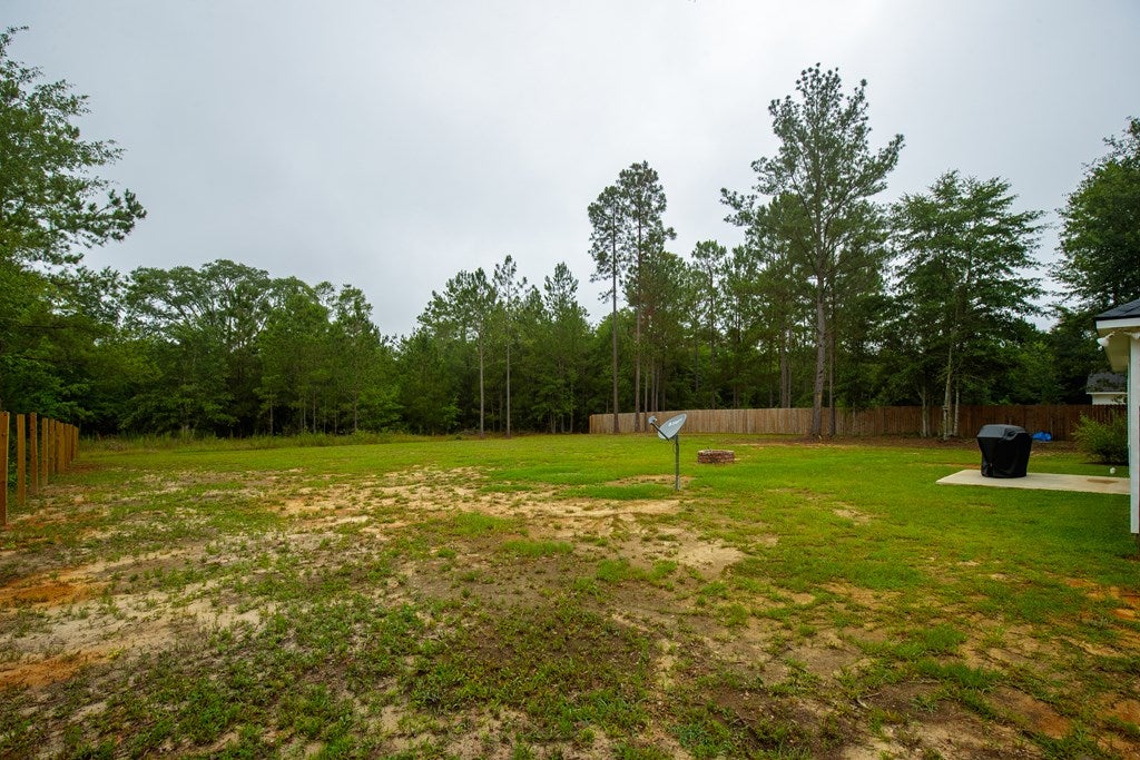199 Trail Of Hawk Road Quitman, GA 31643 - Photo 27 of 27 Gallery Image 27