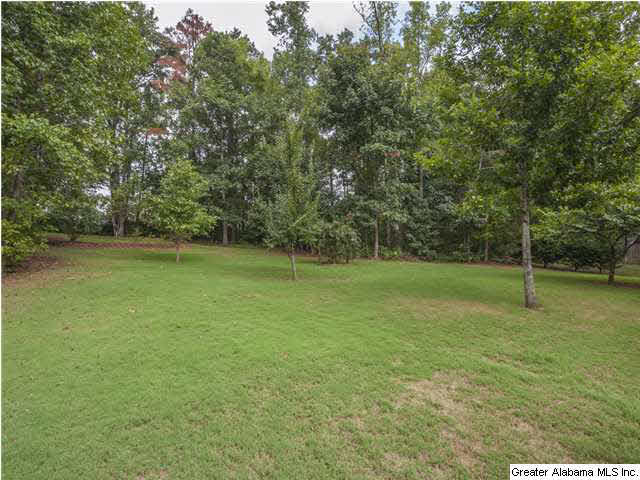 22578 Iron Masters Loop McCalla, AL 35111 - Photo 32 of 32