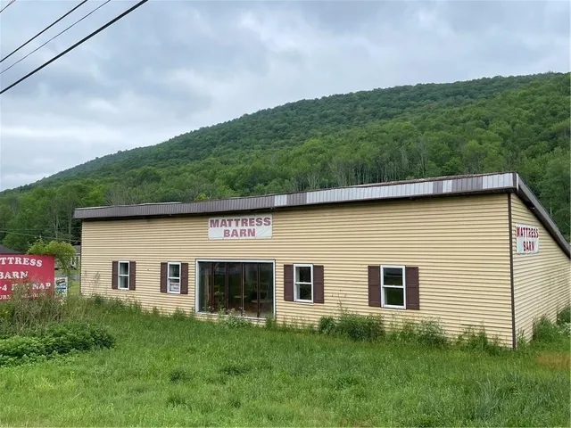 $229,000 | 8663 Route 28 Shandaken Ny 12465, Big Indian, NY 12410