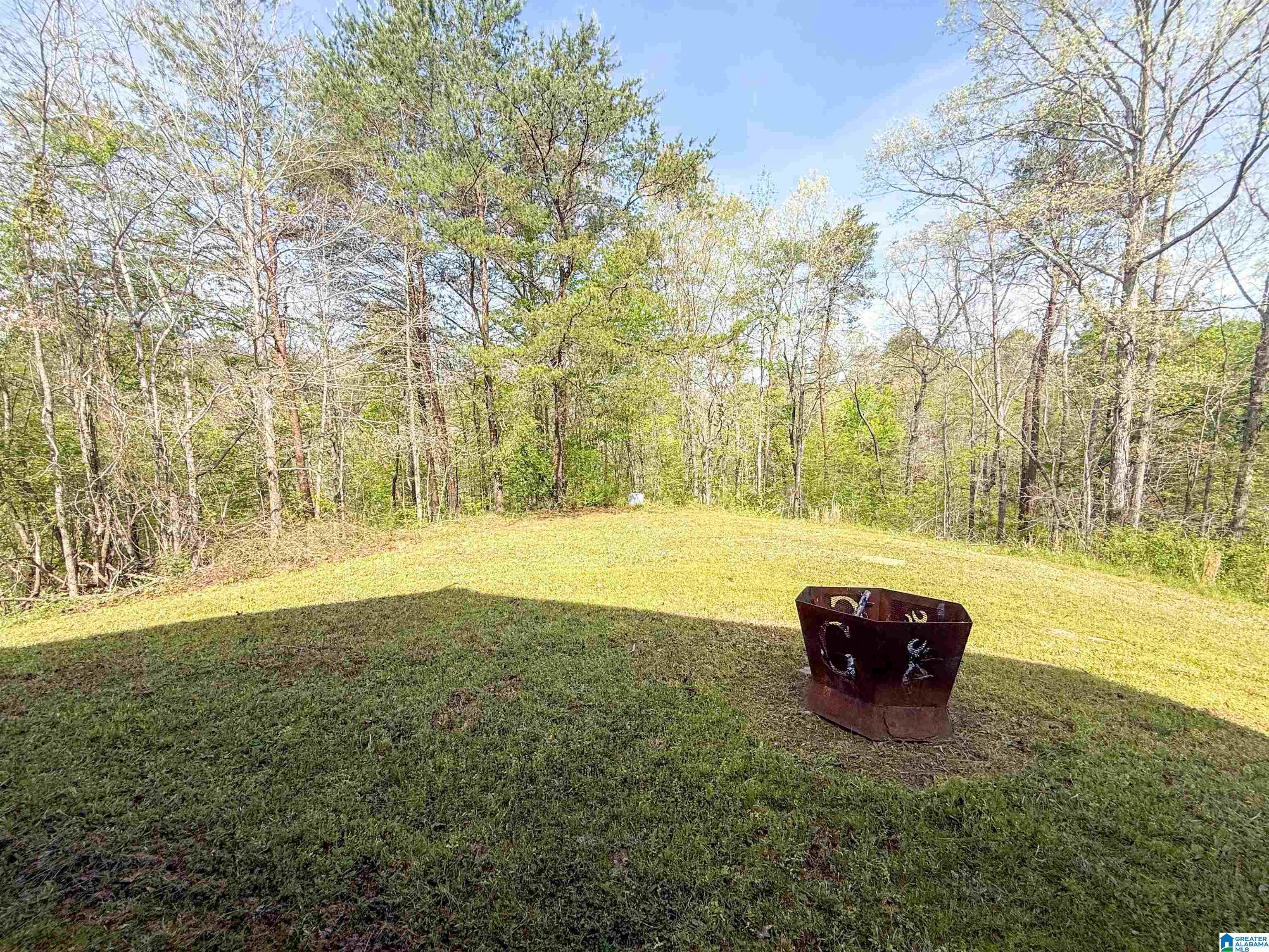 2121 Center Hill Road Trafford, AL 35172 - Photo 33 of 100