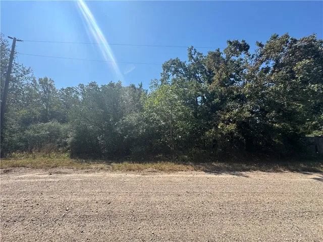 $29,500 | 58-acres Berry South 58-acres Berry S Berry, Caldwell, TX 77836