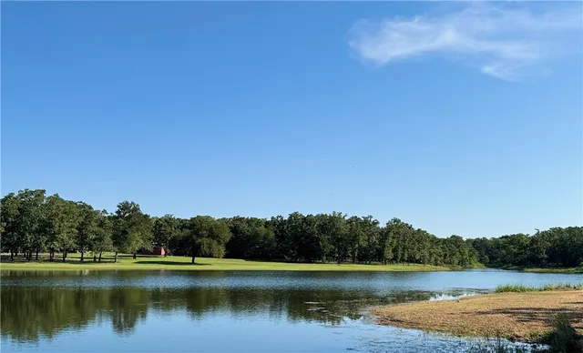 a view of outdoor space and trees all around