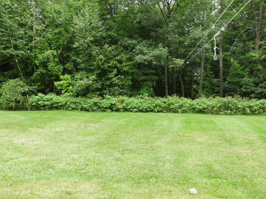 316 Trim Road Morrisonville, NY 12962 - Photo 10 of 39 Gallery Image 10