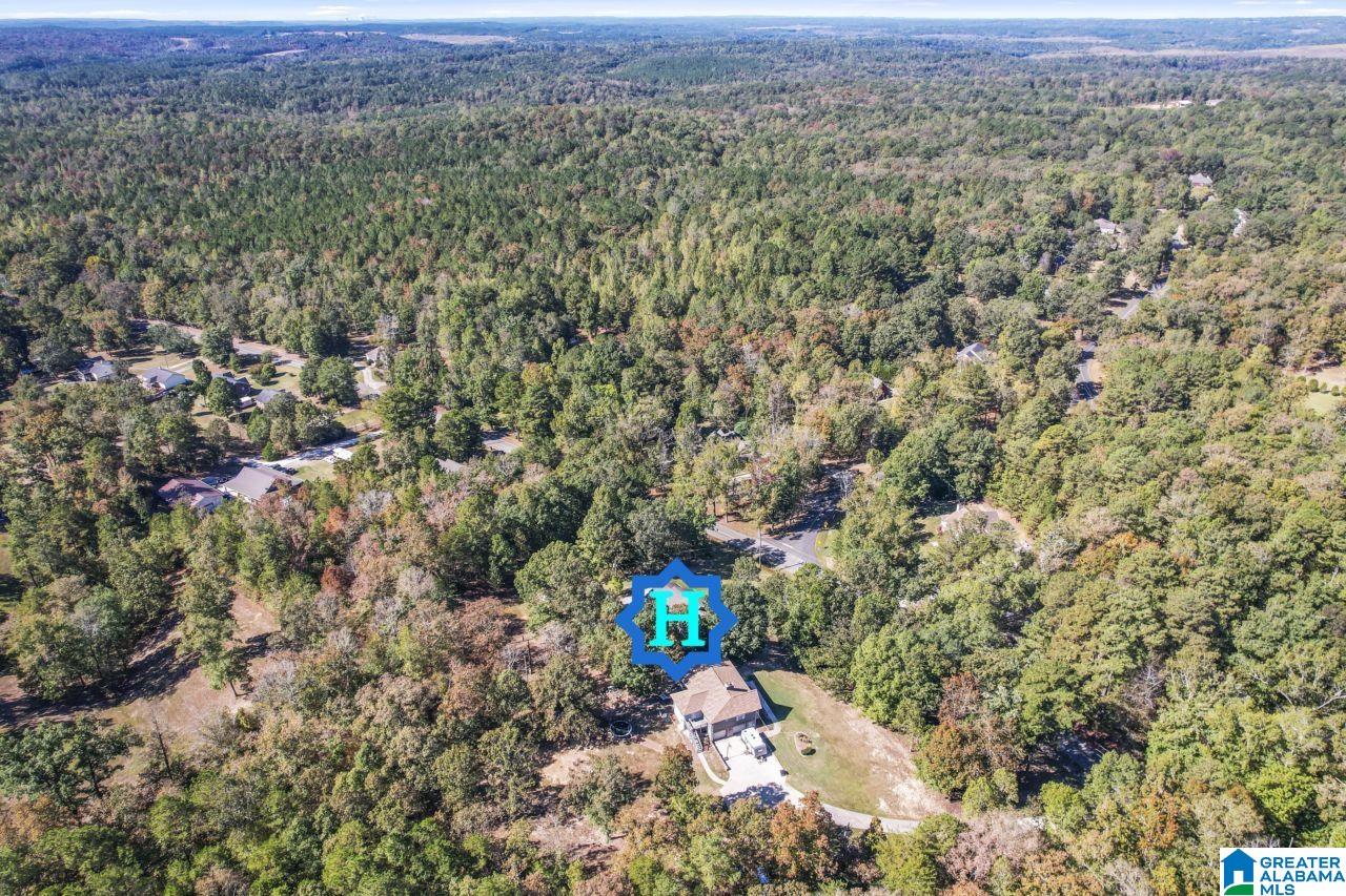 1332 Sardis Road Gardendale, AL 35071 - Photo 32 of 41