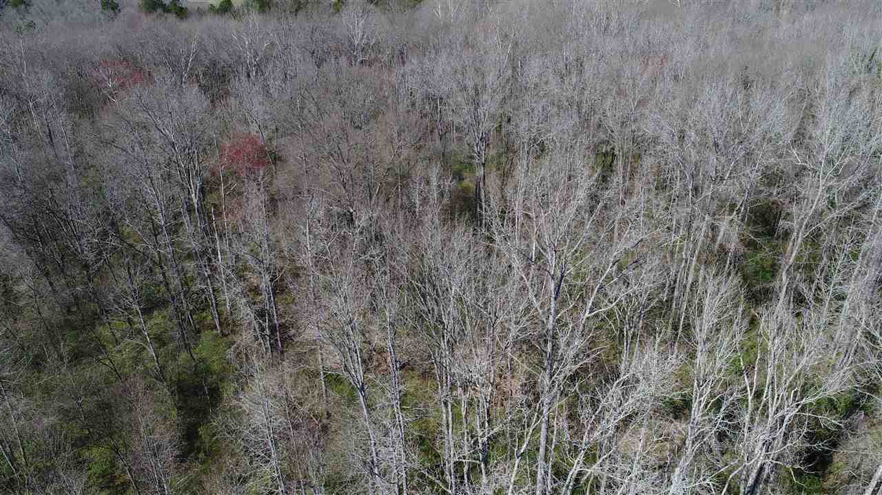 3087 Georgia Road Gray Court, SC 29645 - Photo 23 of 25