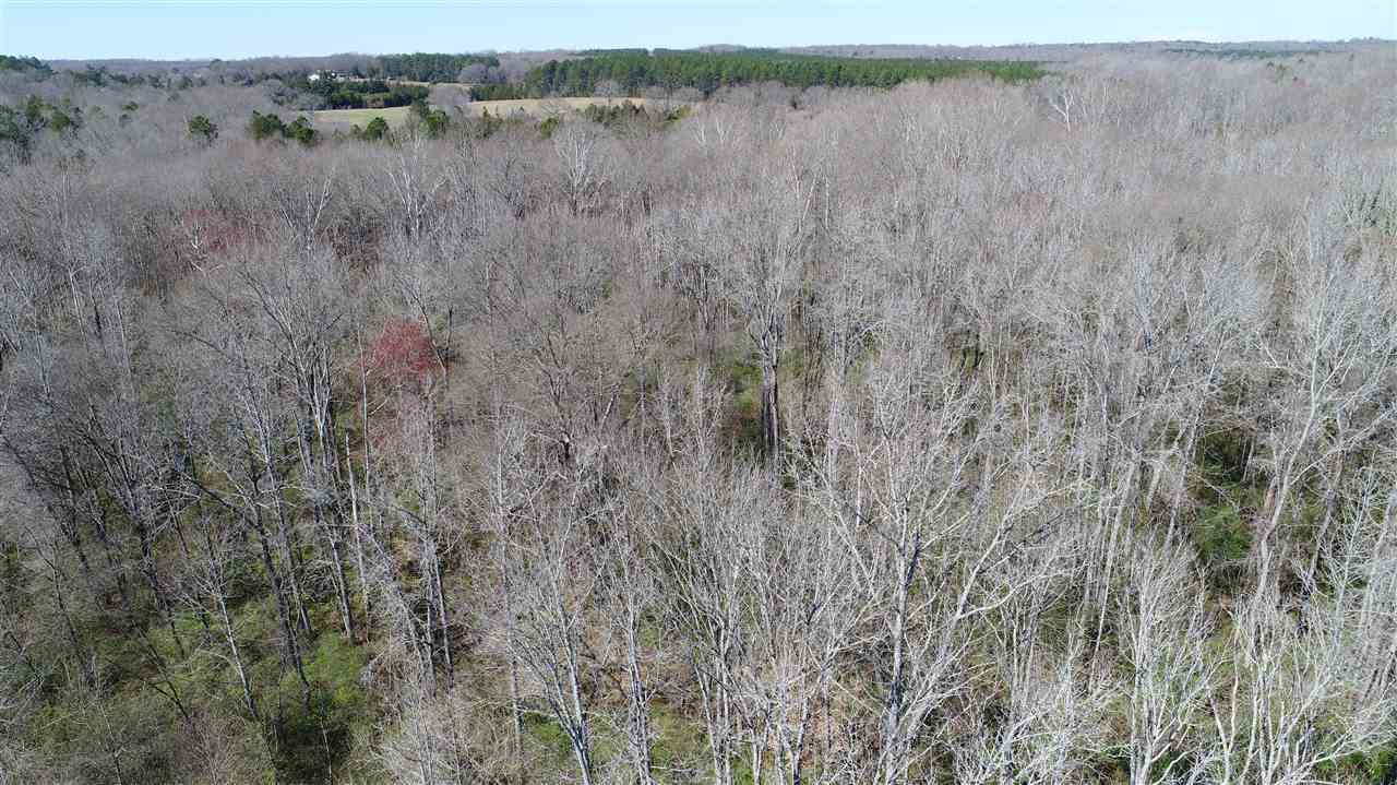 3087 Georgia Road Gray Court, SC 29645 - Photo 24 of 25