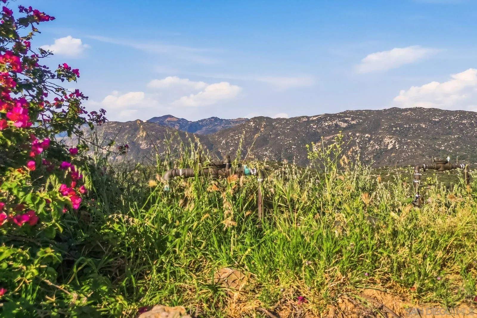 0 Sunset Peak, Unit 7 Pala, CA 92059 - Photo 16 of 22 a view of a city with lush green forest