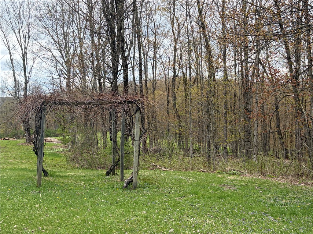 559 Mott Hill Road Edmeston, NY 13335 - Photo 34 of 40