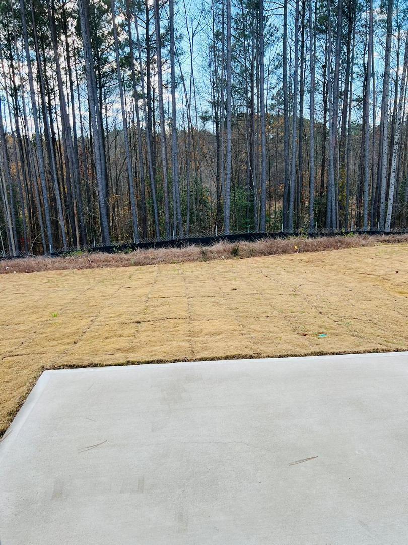745 Riguard Way Wendell, NC 27591 - Photo 29 of 31