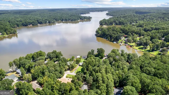an aerial view of a houses with lake view
