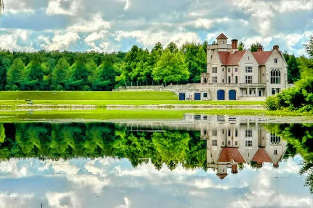 a view of a swimming pool with a garden and trees
