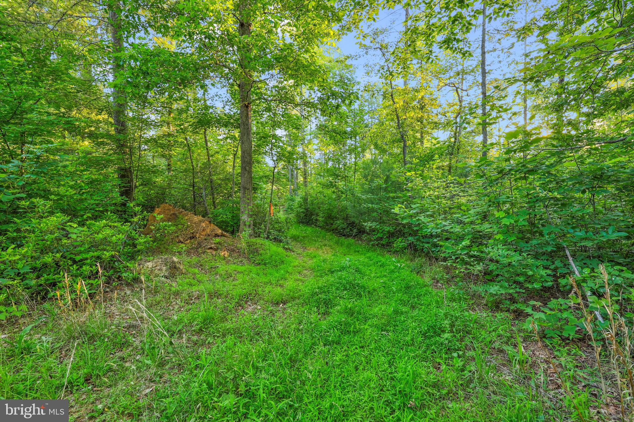 Lot 27-66b Kovi Ridge Trail Reva, VA 22735 - Photo 18 of 20