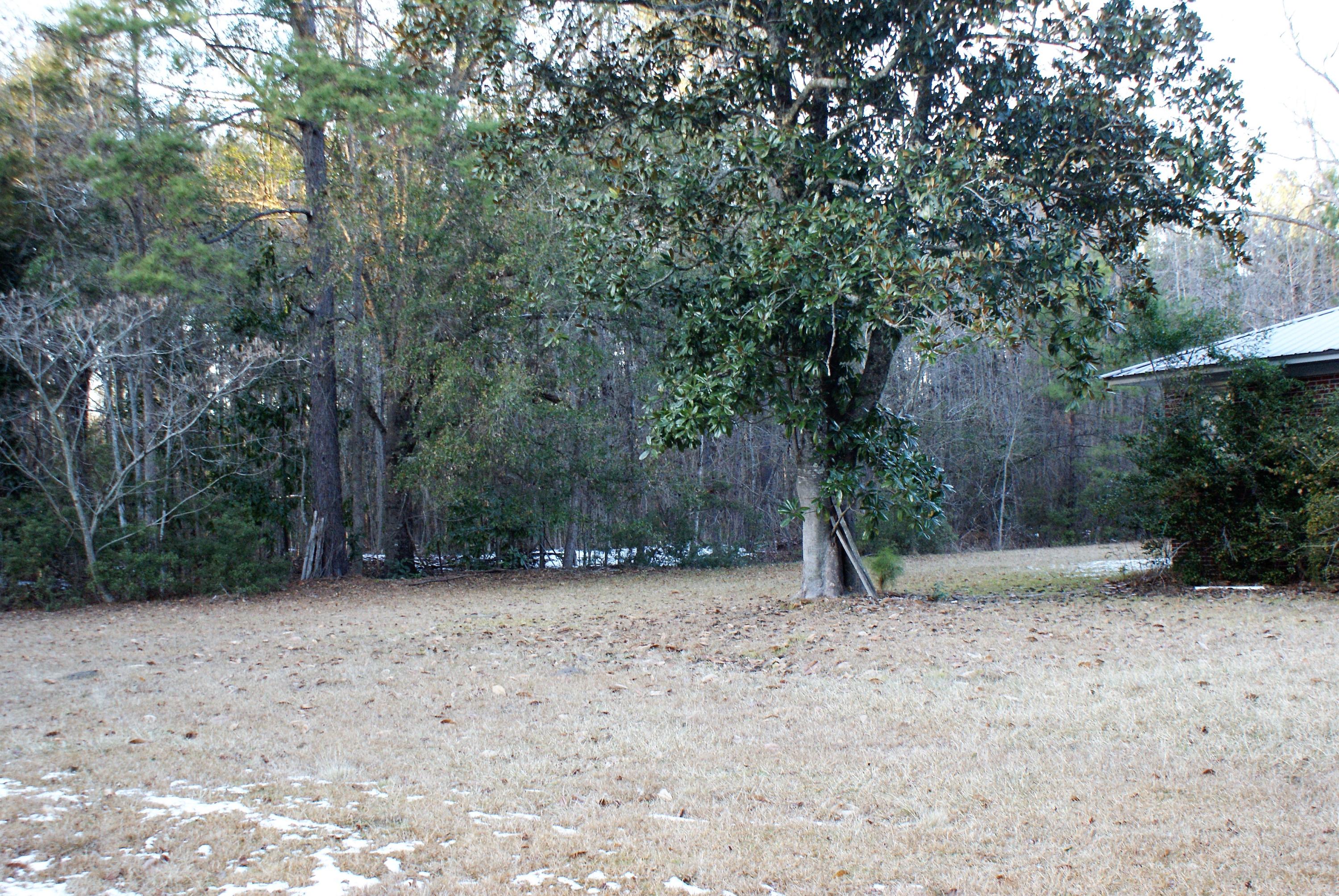 1427 Clatty Farm Road Ruffin, SC 29475 - Photo 1 of 32 Front View