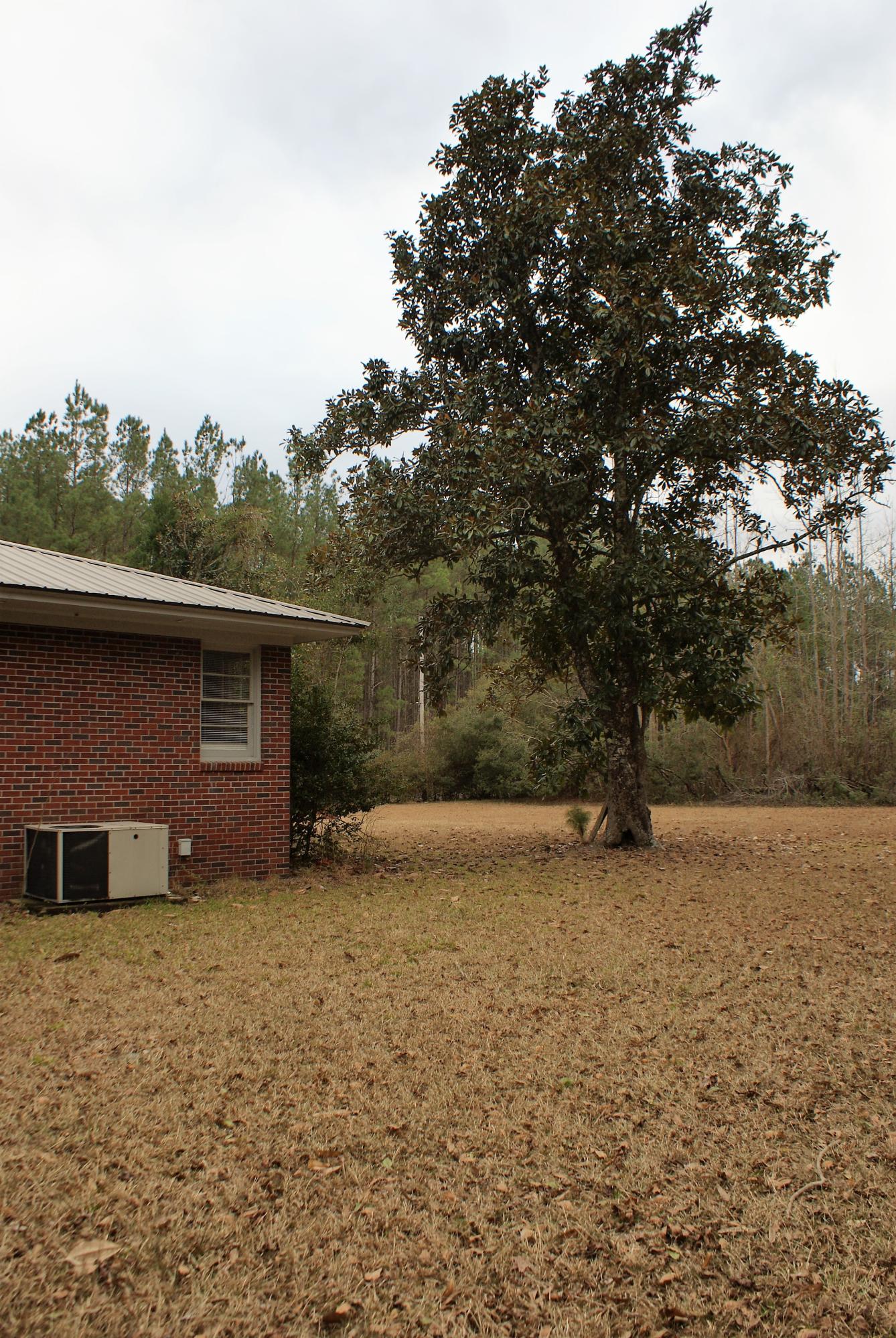 1427 Clatty Farm Road Ruffin, SC 29475 - Photo 30 of 32 DSC04559