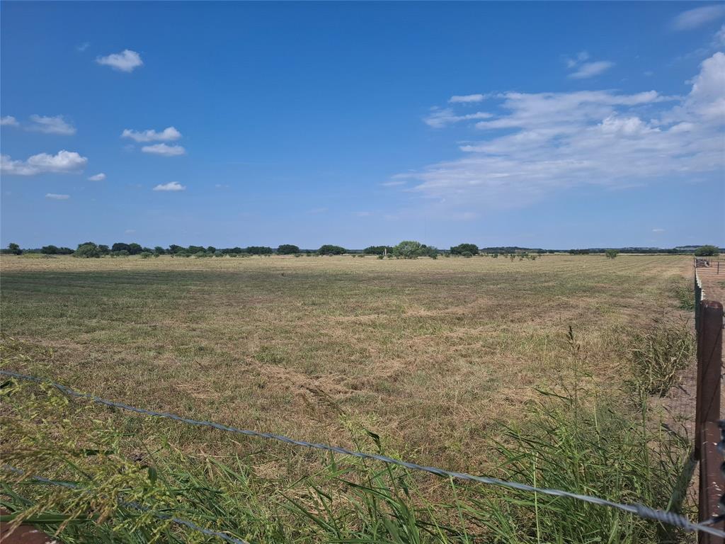Tbd Tbd Prairie View Road Perrin, TX 76486 - Photo 5 of 10