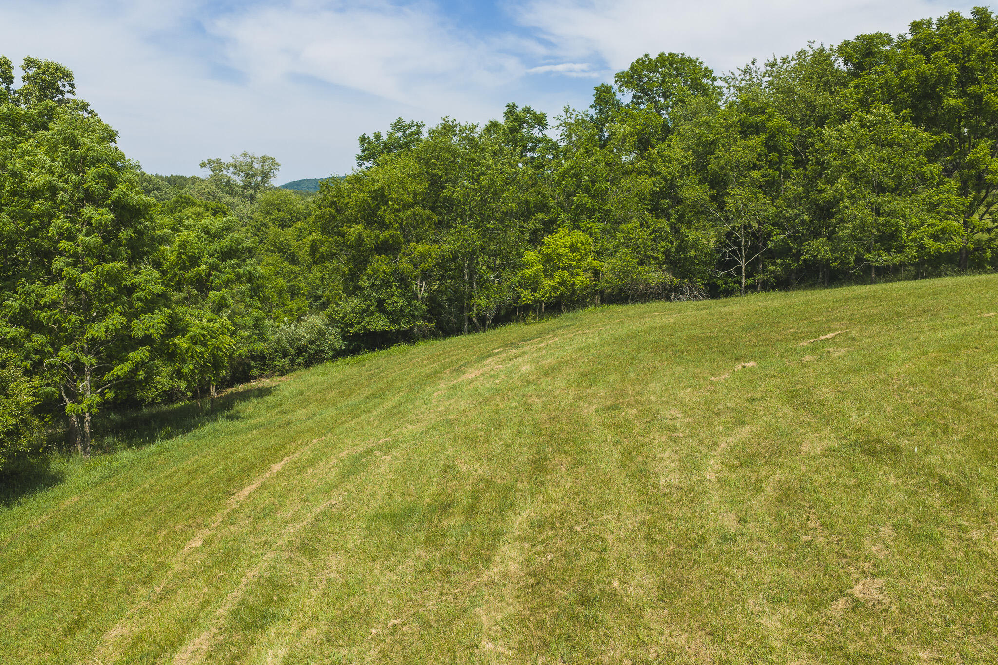 Lot 1 Brush Creek Road Riner, VA 24149 - Photo 4 of 15 DJI_20260608105814_0926_D