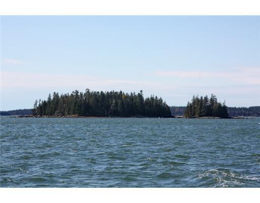 1 Goose Island Addison, ME 04606 - Photo 27 of 30 Waterfront/Dock/Pier. Outer Goose...